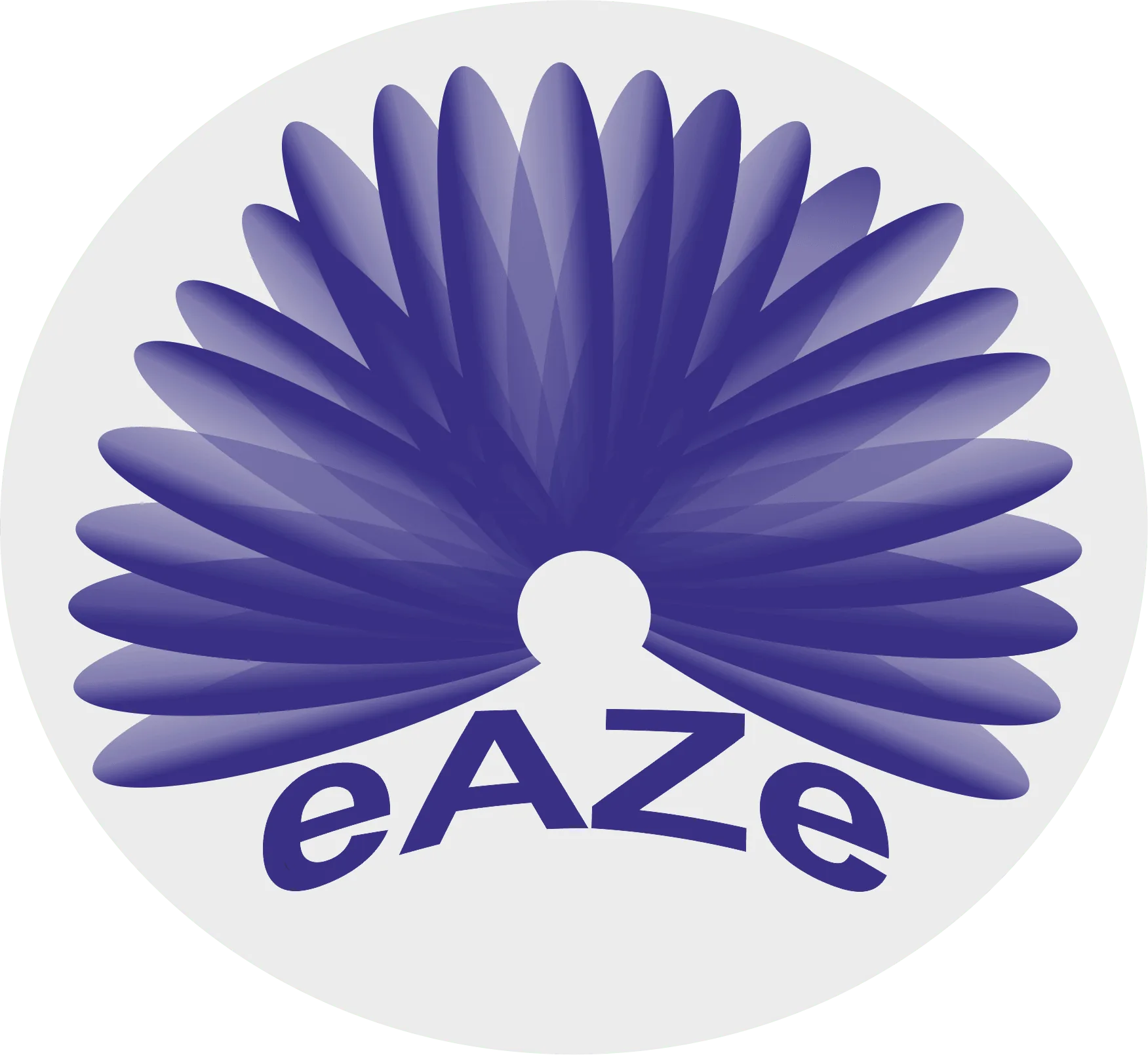 eAze logo with abstract wing style graphic in purple color
